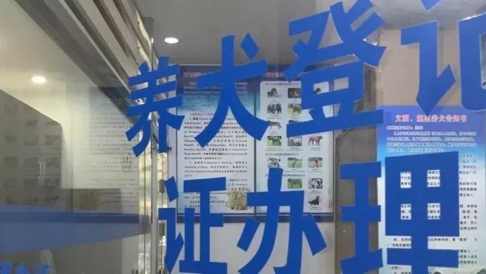 文章配图-4