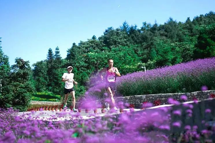 野三关镇经济总量_巴东野三关镇