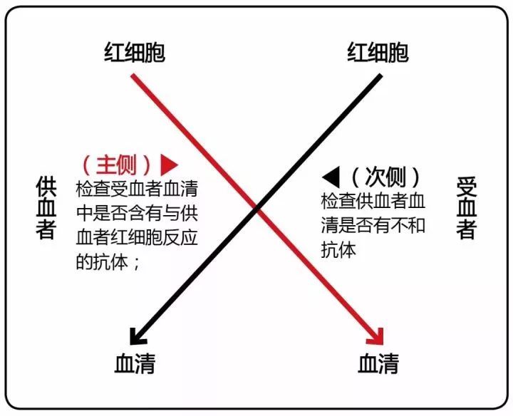 什么是交叉配血 原理_两杆枪交叉是什么意思(2)