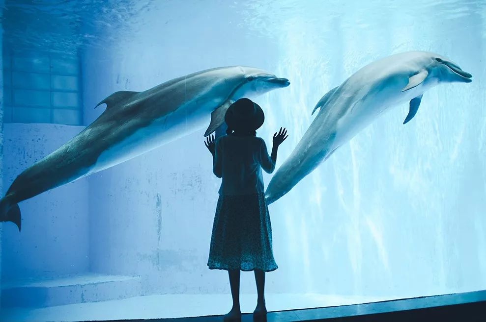 8e64d828e2654647aa311af41d8cb57b.jpeg