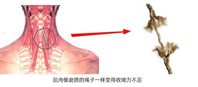 9140ac5a2b8c4c04877b1bcfee973f80.jpeg