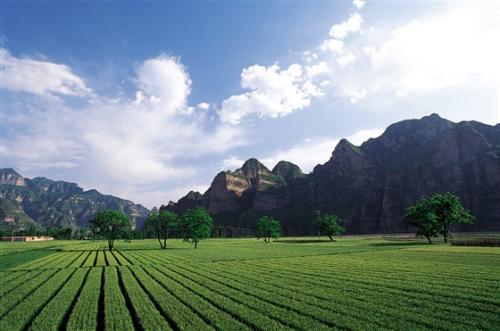 文章配图-4