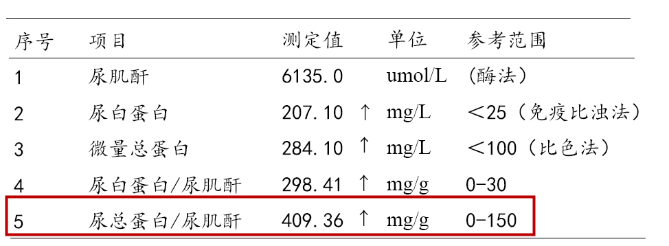 尿蛋白两个加号怎么办