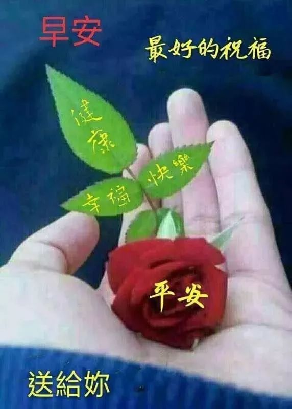 八月三十号早上祝福语 9fdbe5effc1844dc9c886b948b2c4dde.jpeg