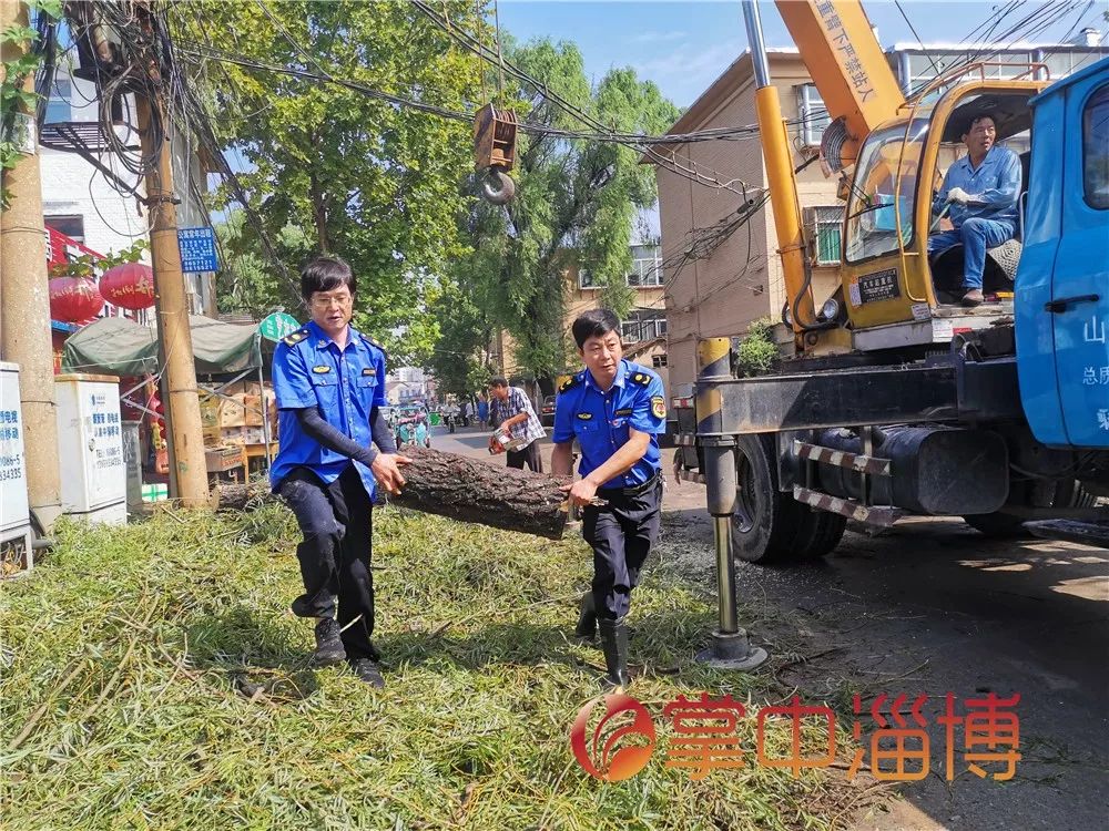 淄博有多少个行政村 a64fc413540346c1ac4570d611d4dcba.jpeg