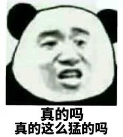 信阳2019gdp排名_信阳森林覆盖率排名(3)