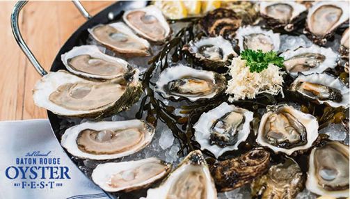 悉尼生蚝节   oyster festival