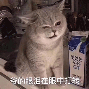 表情小姐姐要来一场qq爱吗杂图表情包
