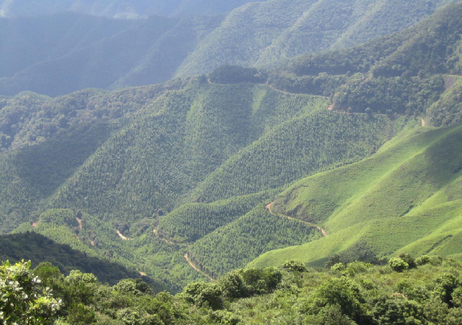 广东被遗忘的山,被称为“佛山第一峰”,还是4A景区,却名气很低 申搏娱乐官网