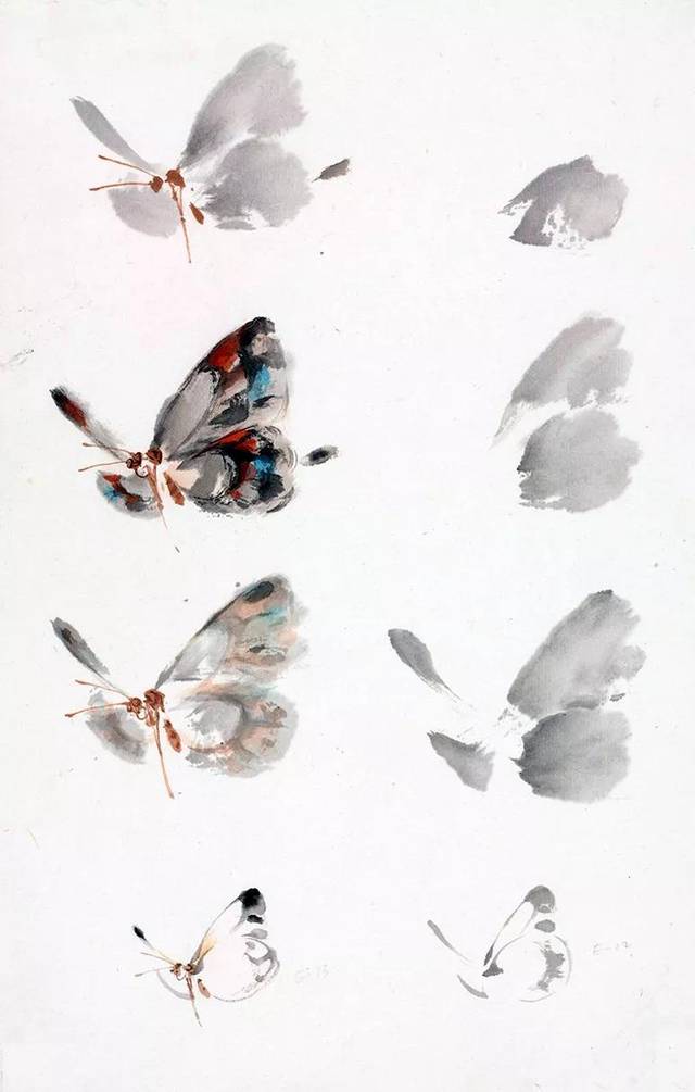 蝴蝶画法-1995
