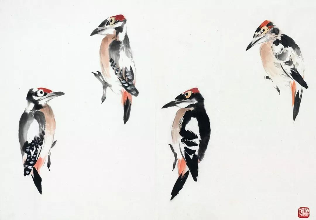 啄木鸟画法-1995388-389.红嘴蓝鹊,戴胜画法-1995390-391.