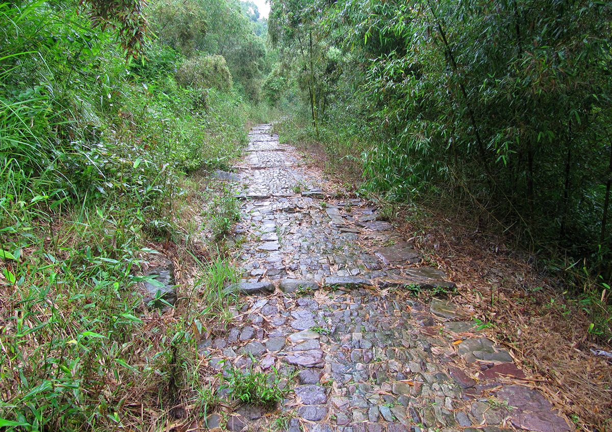 大岙岭隧道通车,宁波进出四明山有了捷径,又一条风景线