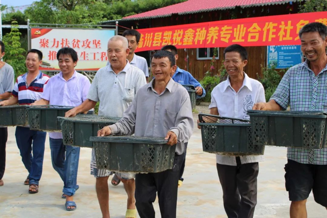 陆川县人民政府关于解除封锁非洲猪瘟疫区的命令