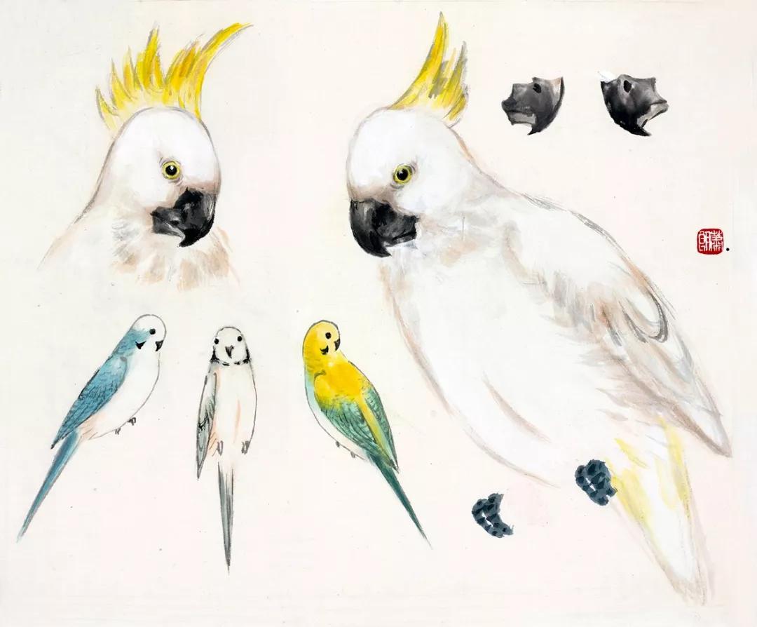 鹦鹉画法-1995