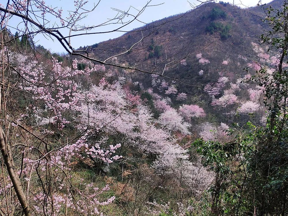 如果修水会自拍,春夏秋冬,都会刷屏你的朋友圈!