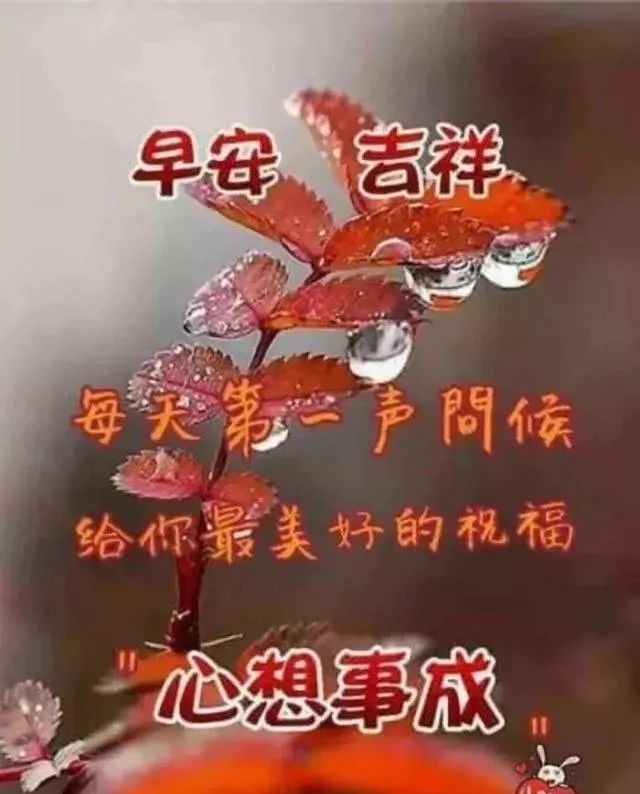 峿ʺϺõƯʻͼƬ,Ϻܰף¼ͼƬ