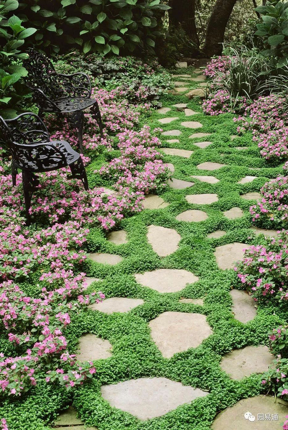 庭院|2019庭院流行元素(52个)_植物