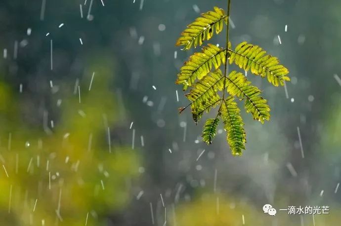 晓红专辑下雨的早晨晴朗的内心