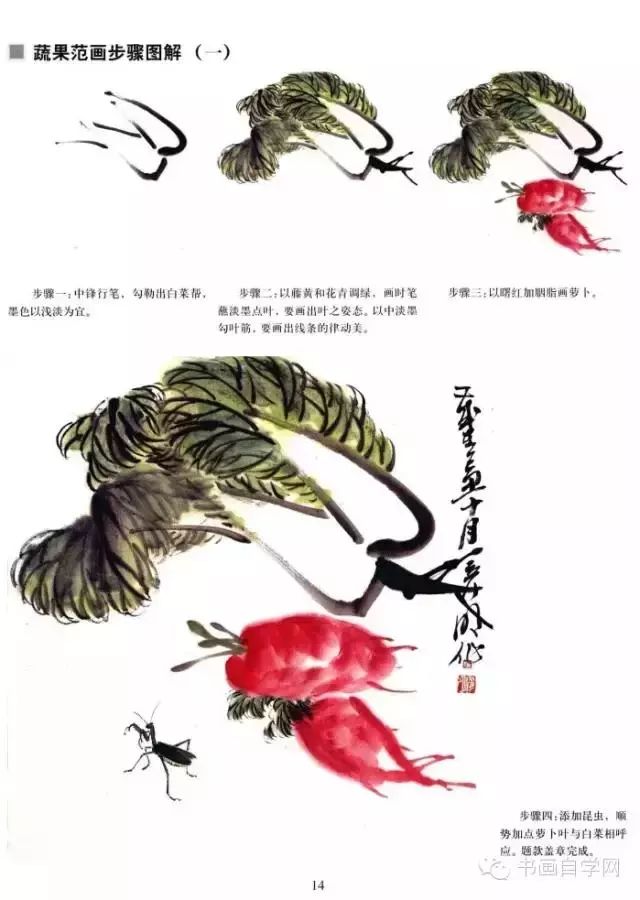 中国画技法基础教学蔬果的画法