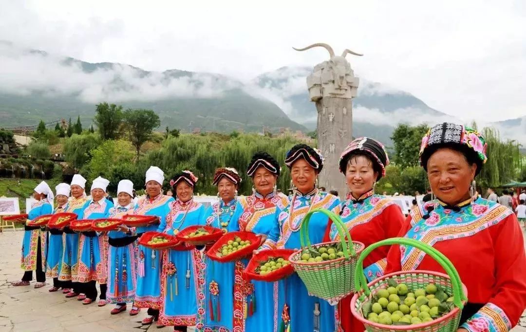 羌族姑娘现场采摘最新鲜的茂县李一定不能错过但阿坝州茂县酸甜的青脆