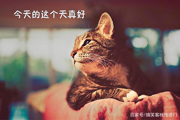 每日一笑:我命由我不由天,哪吒,现在的你还好吗?