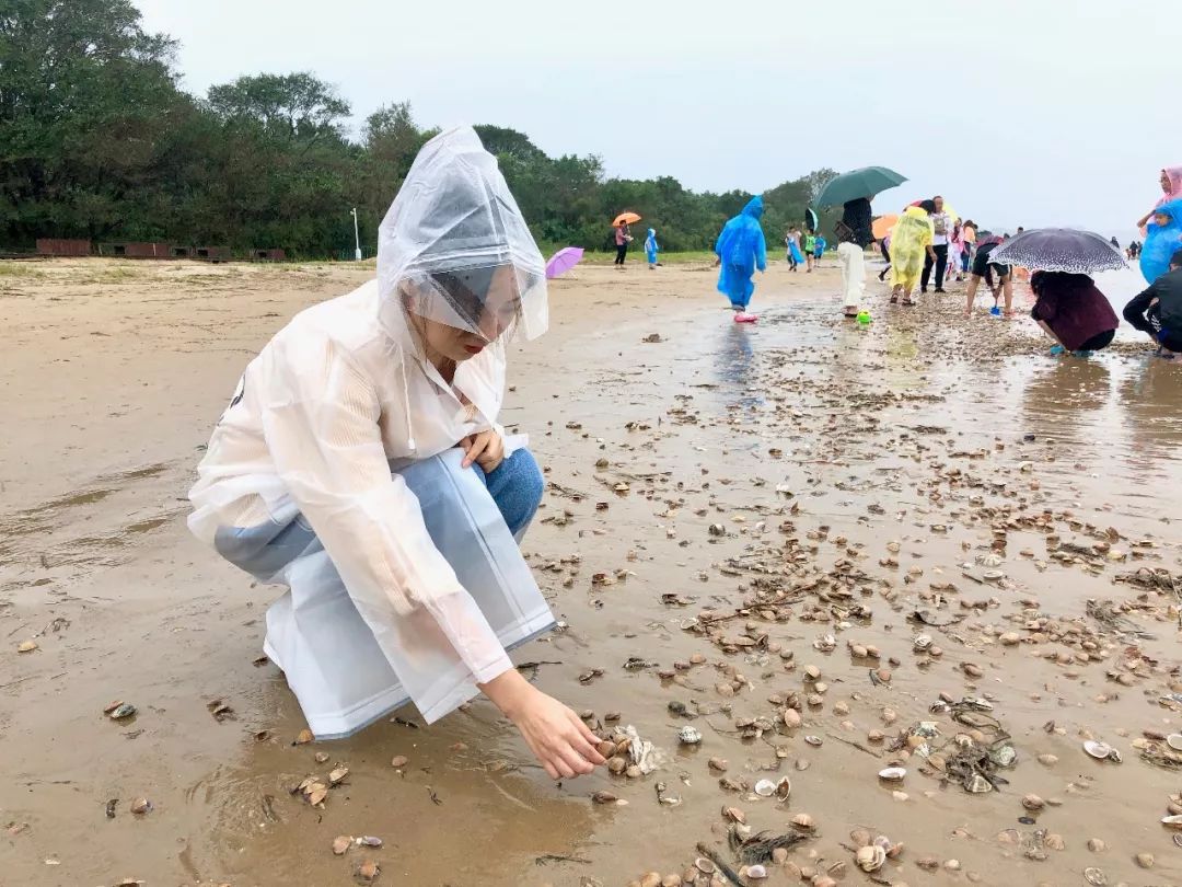 "利奇马"走了,秦皇岛的海边竟然如此热闹!