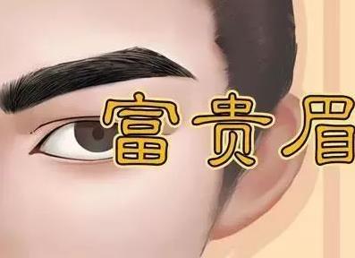 面相浓眉毛的人贵人缘旺易成功