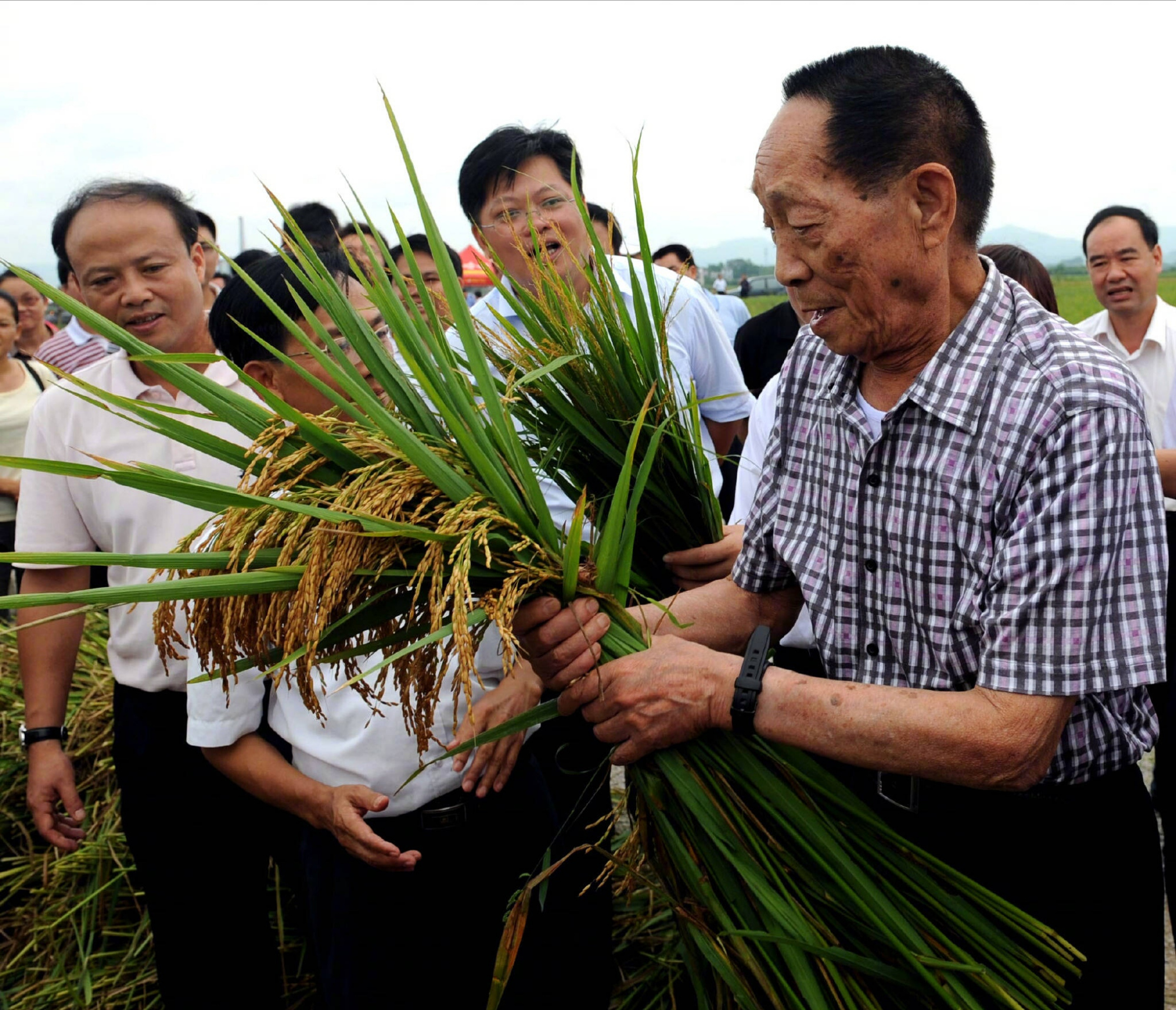 袁隆平曾出国育种，准备赚个万元户回来，可因一件事计划落空