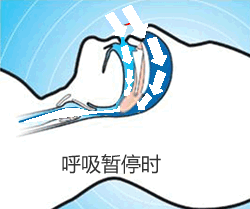 250_209gif 动态图 动图