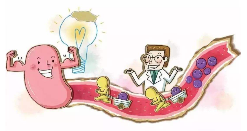 什么肠什么恶成语_成语故事简笔画(3)