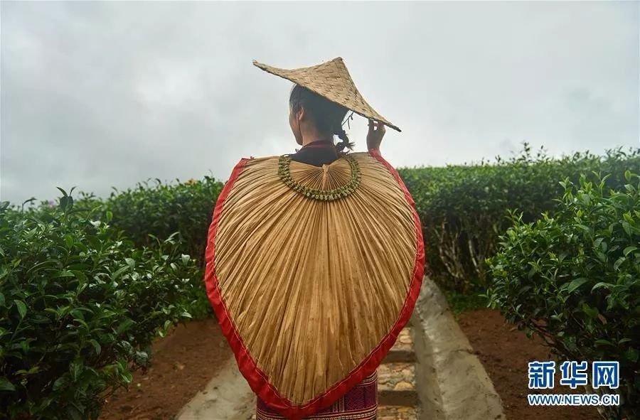 青箬笠,绿蓑衣,再来一双棠木屐,我就是雨天最靓的仔