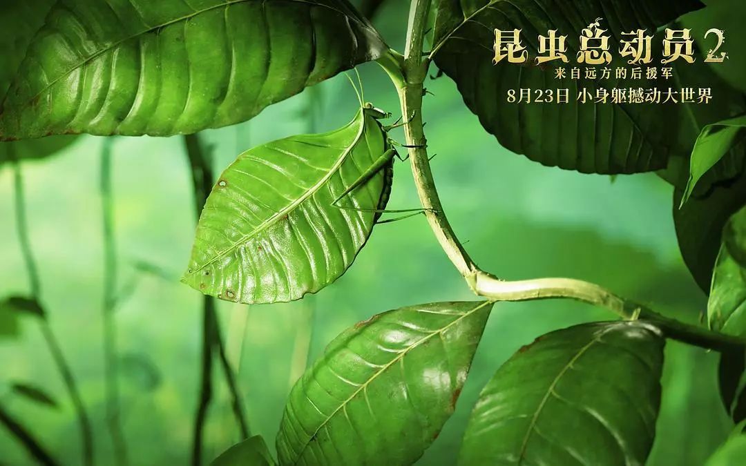 蜜蜂筑巢需要多少时间 14ddad6223d349d79f6a4fc0977d6668.jpeg