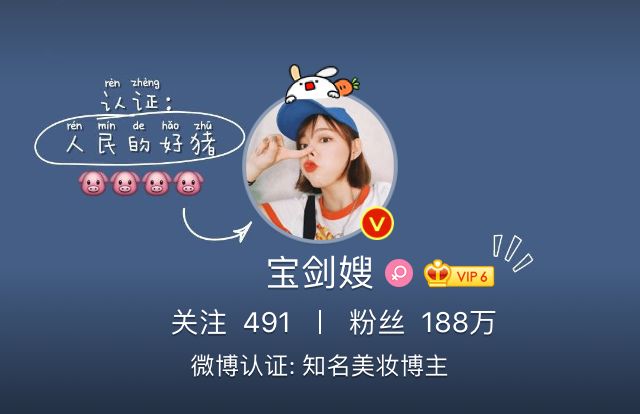 宝剑嫂|一份巨无霸正经的自我介绍