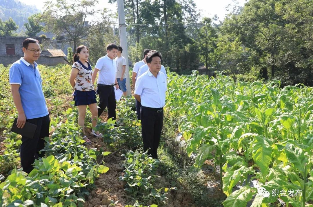 杨桦到乡镇调研脱贫攻坚时强调争分夺秒奋力攻坚确保高质量如期实现