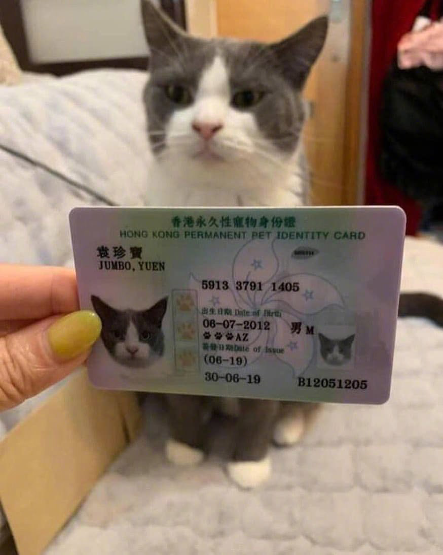 原创搞笑趣图:我不要面子的啊,就这样被你拖进去我以后还怎么混啊?