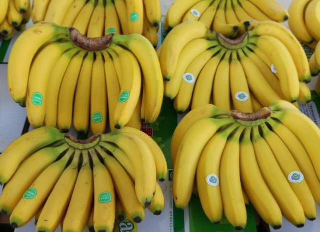 你认识香蕉的这些"品种"吗?网友:我可能吃了多年的假香蕉!