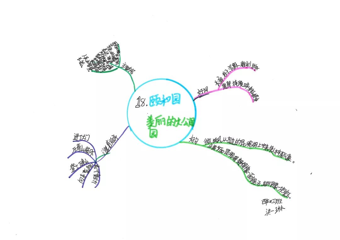 自然风思维导图让阅读更愉快