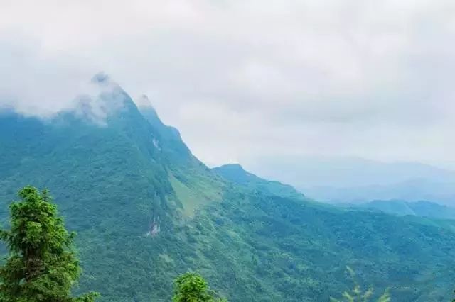 还有多少悬崖村 38e5bc08aa29402a99216b2f037a2fe6.jpeg