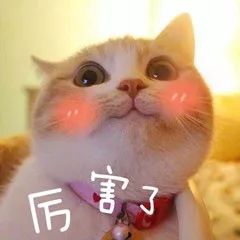 1个肝脏,2人急需!海南这家医院竟做出惊人决定:把肝“劈”开! bwin必赢国际