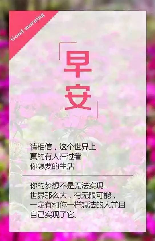 每日一句早安语录