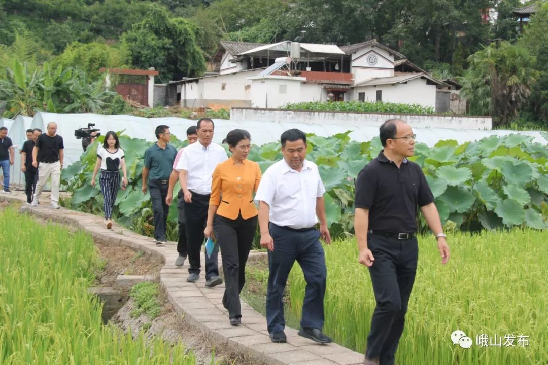 中共玉溪市委副书记市长张德华到峨山县调研