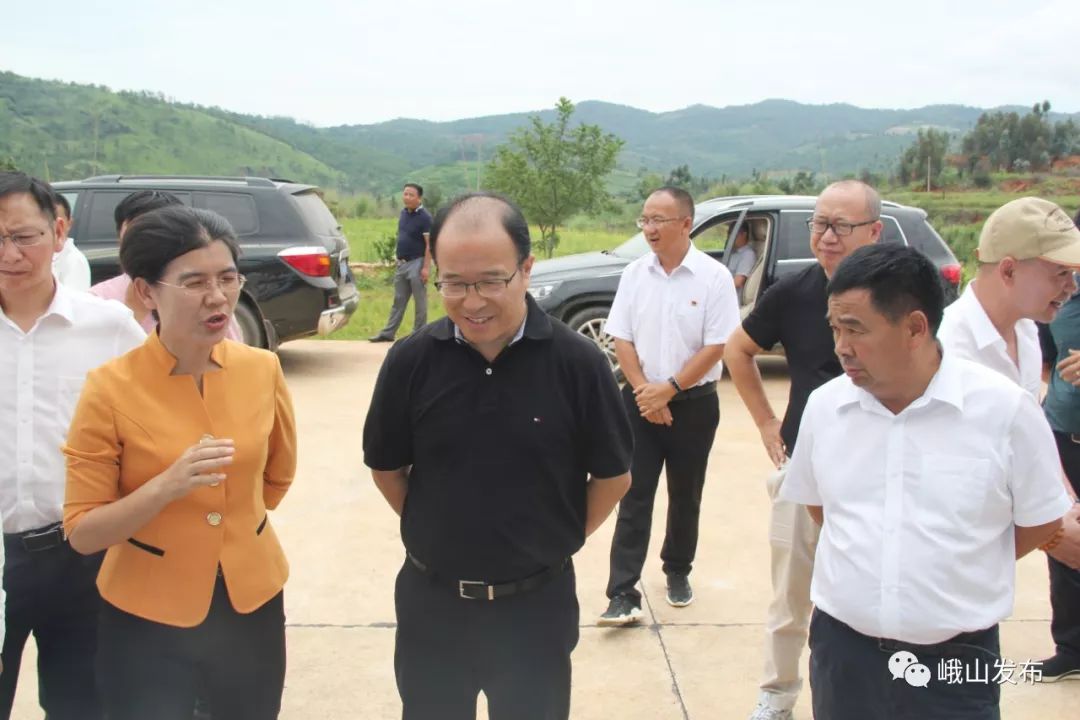 中共玉溪市委副书记市长张德华到峨山县调研