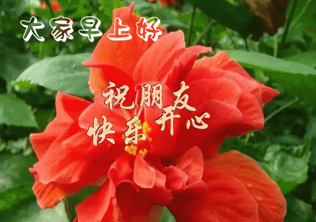 八月三十号早上祝福语 488adc19280146758fb95b9e3dc77087.gif