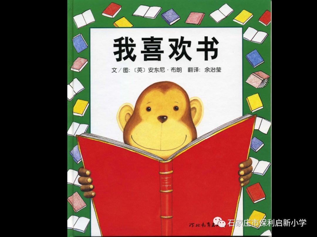 各种各样的恐龙故事 49a3bcd1bb8246af987309bc3e5c5906.jpeg