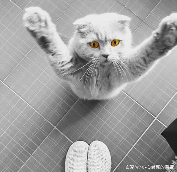 49d1490635f34fa59a742474dc9ea973.jpeg