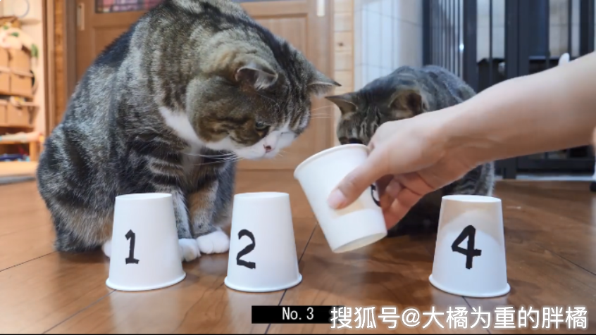 星屎人猜成语