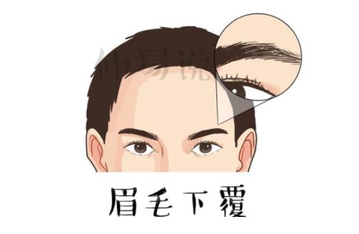 面相浓眉毛的人贵人缘旺易成功
