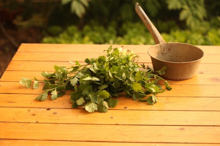 五：香菜汤：用香菜煎汤，每天可以用其洁面，能有效祛黑斑和消除雀斑。