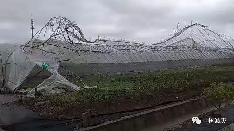 上海宝山各镇经济总量排名_上海宝山车祸图片