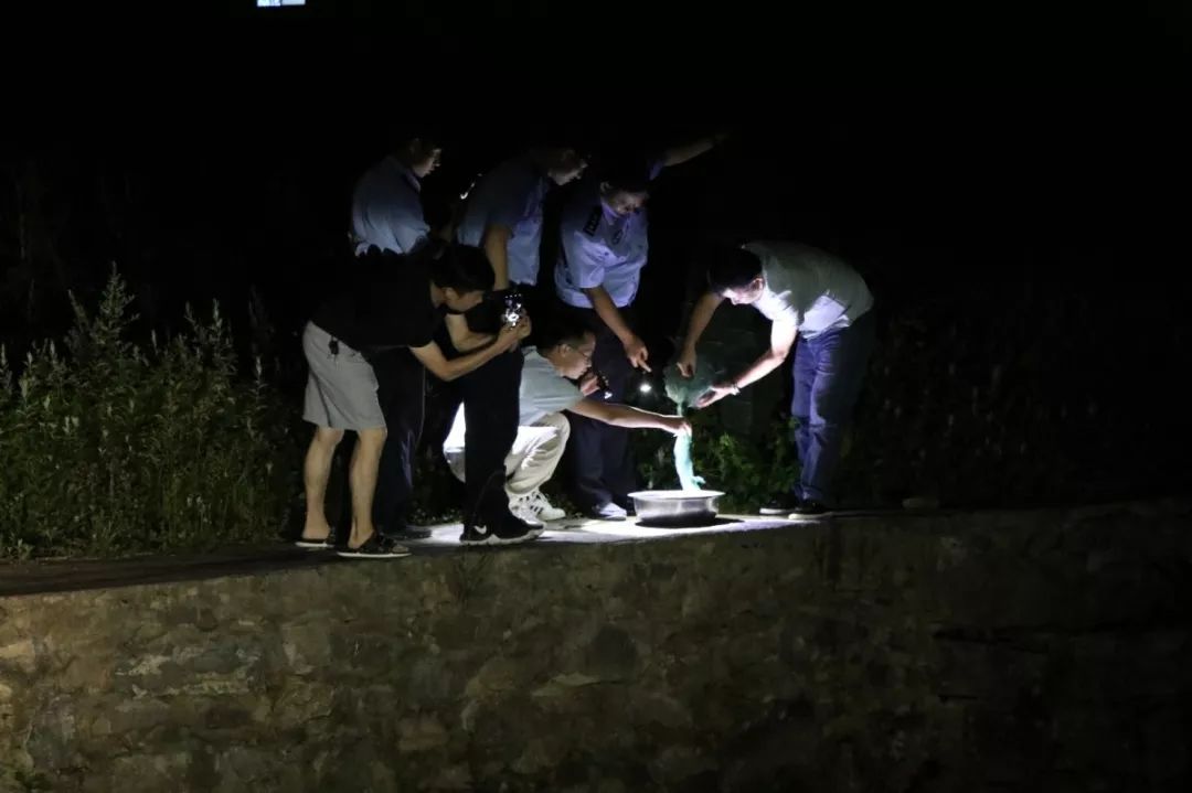 夜间巡河联动执法!五峰湾潭对非法捕鱼说“不”